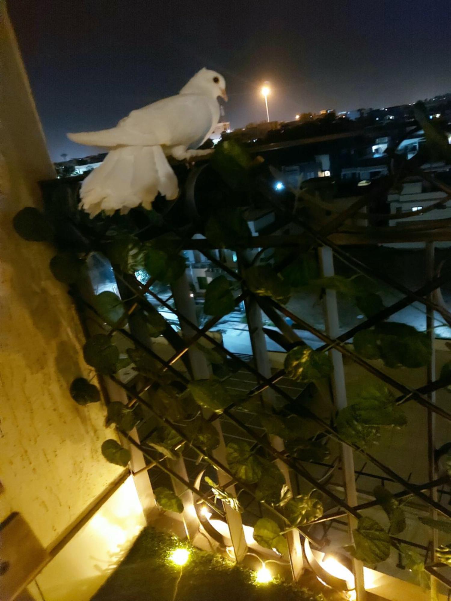 Aesthetic Scenic Luxurious Apartment - Bahria Heights Rawalpindi Eksteriør bilde